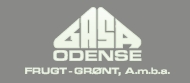 Gasa-Odense.png